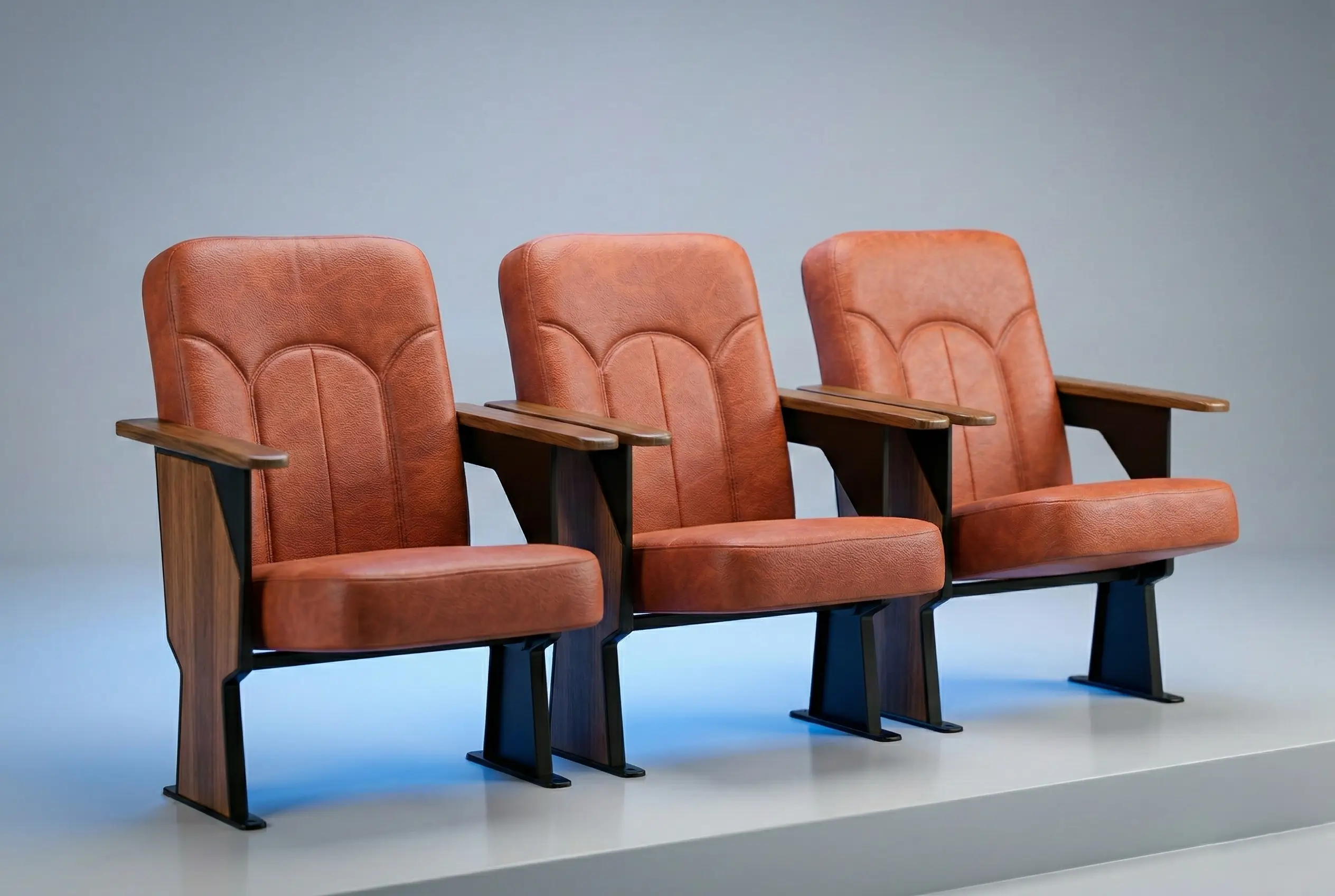 Auditorium - Image 2